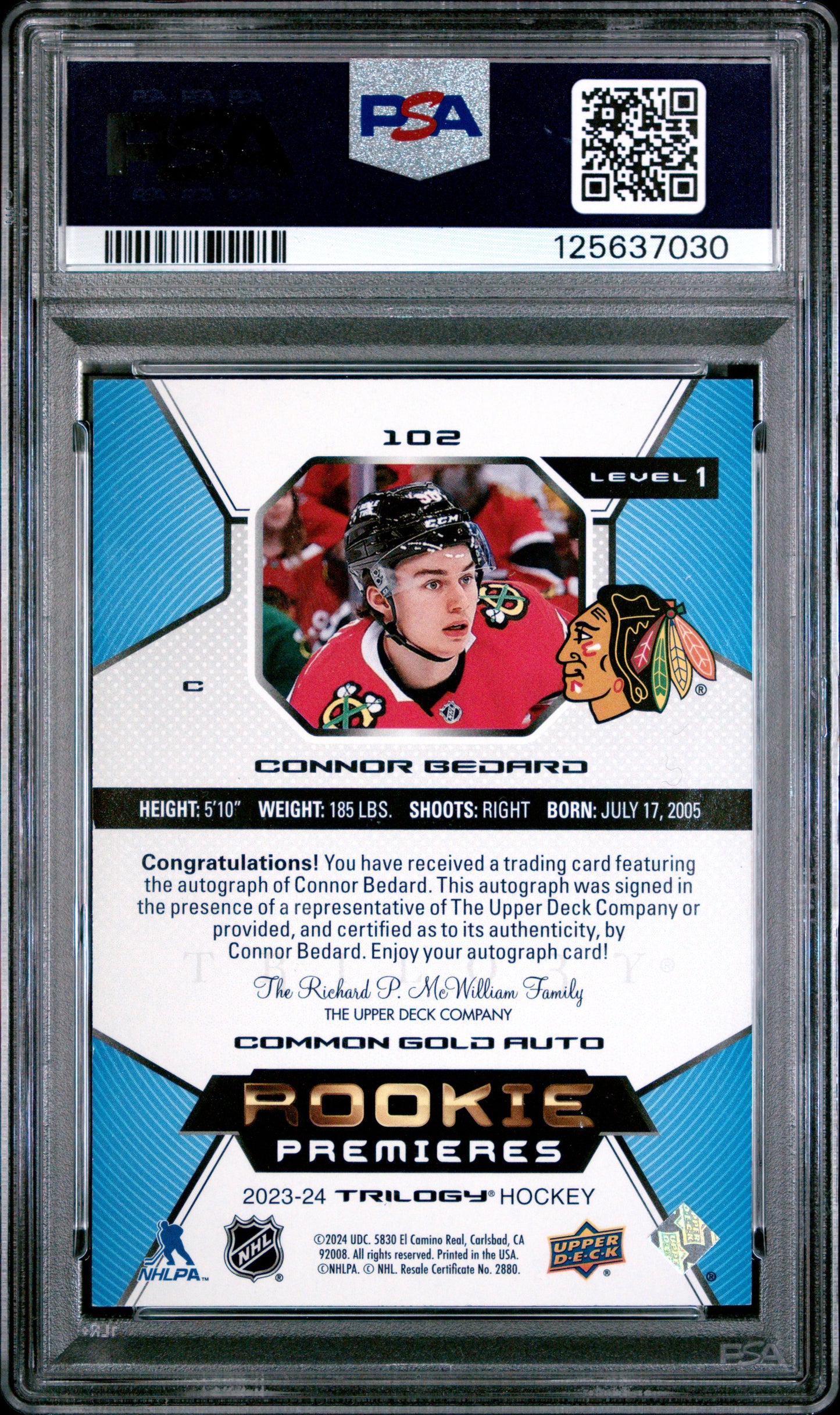 Connor Bedard 2023 Upper Deck Trilogy Gold Rookie Auto #20/49 PSA 8 Nm-Mint