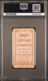 Jimmy Sheckard 1909-11 T206 Sweet Caporal 350-460/42 Glove Showing PSA 1 Poor