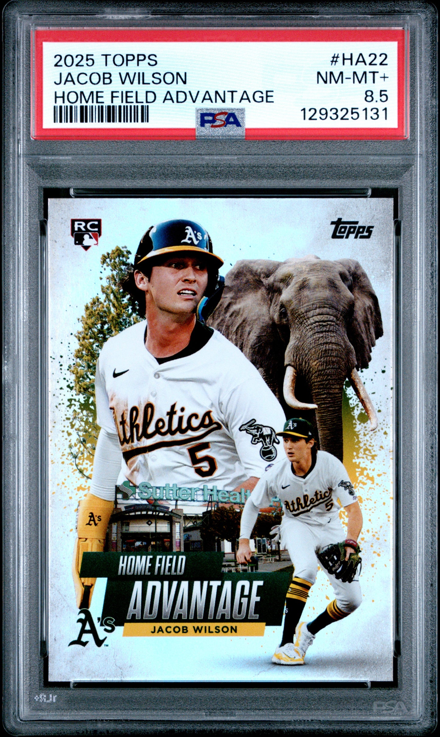 Jacob Wilson 2025 Topps Home Field Advantage Rookie #HA22 PSA 8.5 Nm-Mint+